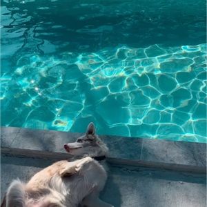 Meet your Posher, Melody